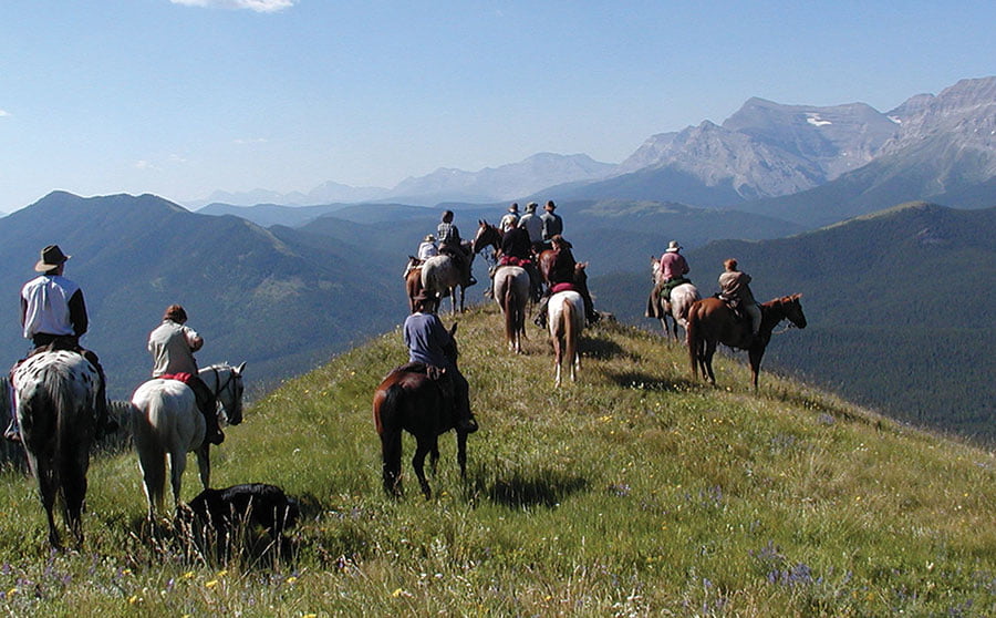 10 Tips on Sustainable Horse Riding Adventure