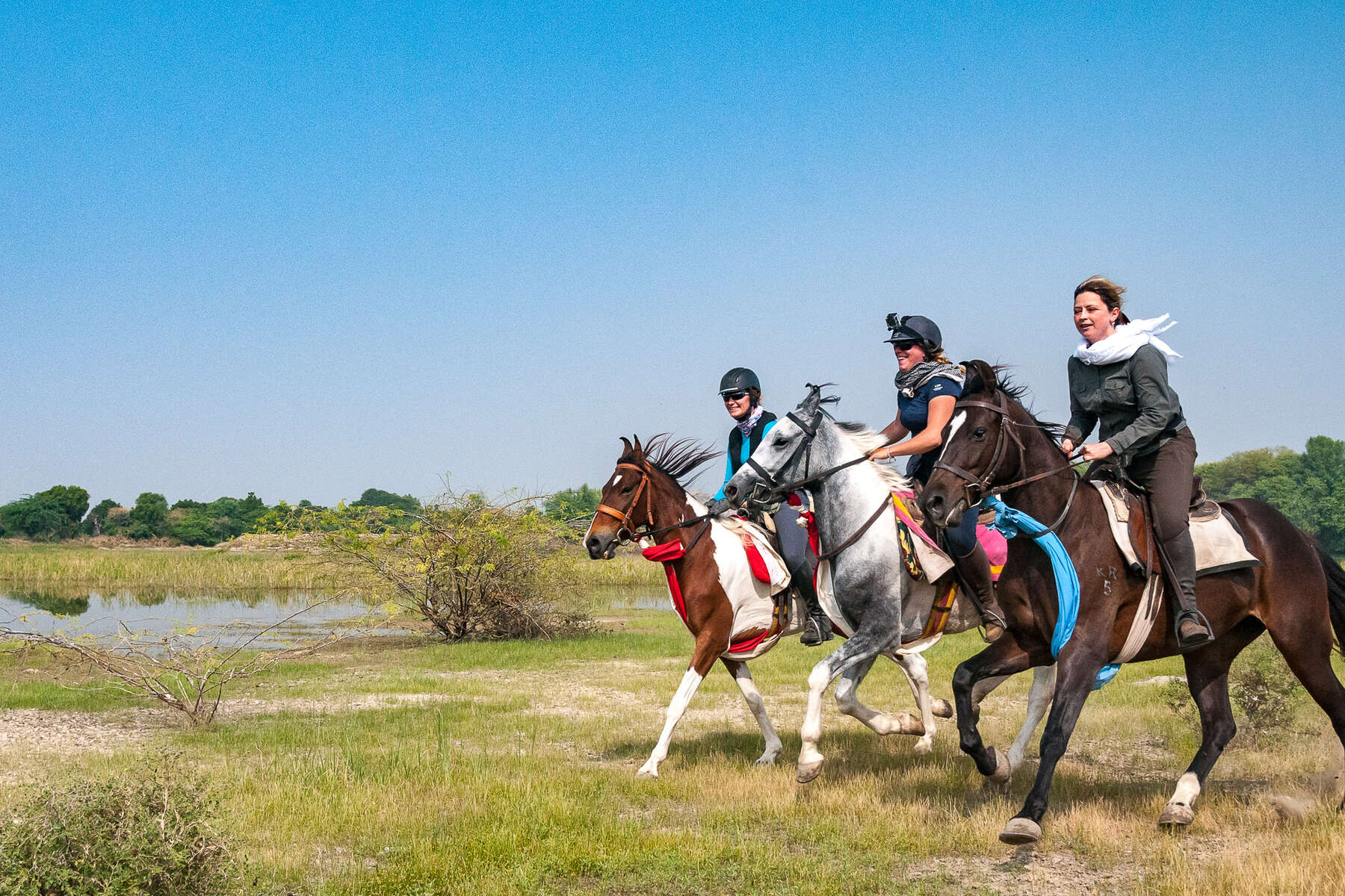 Plan Horse Riding Holidays in India