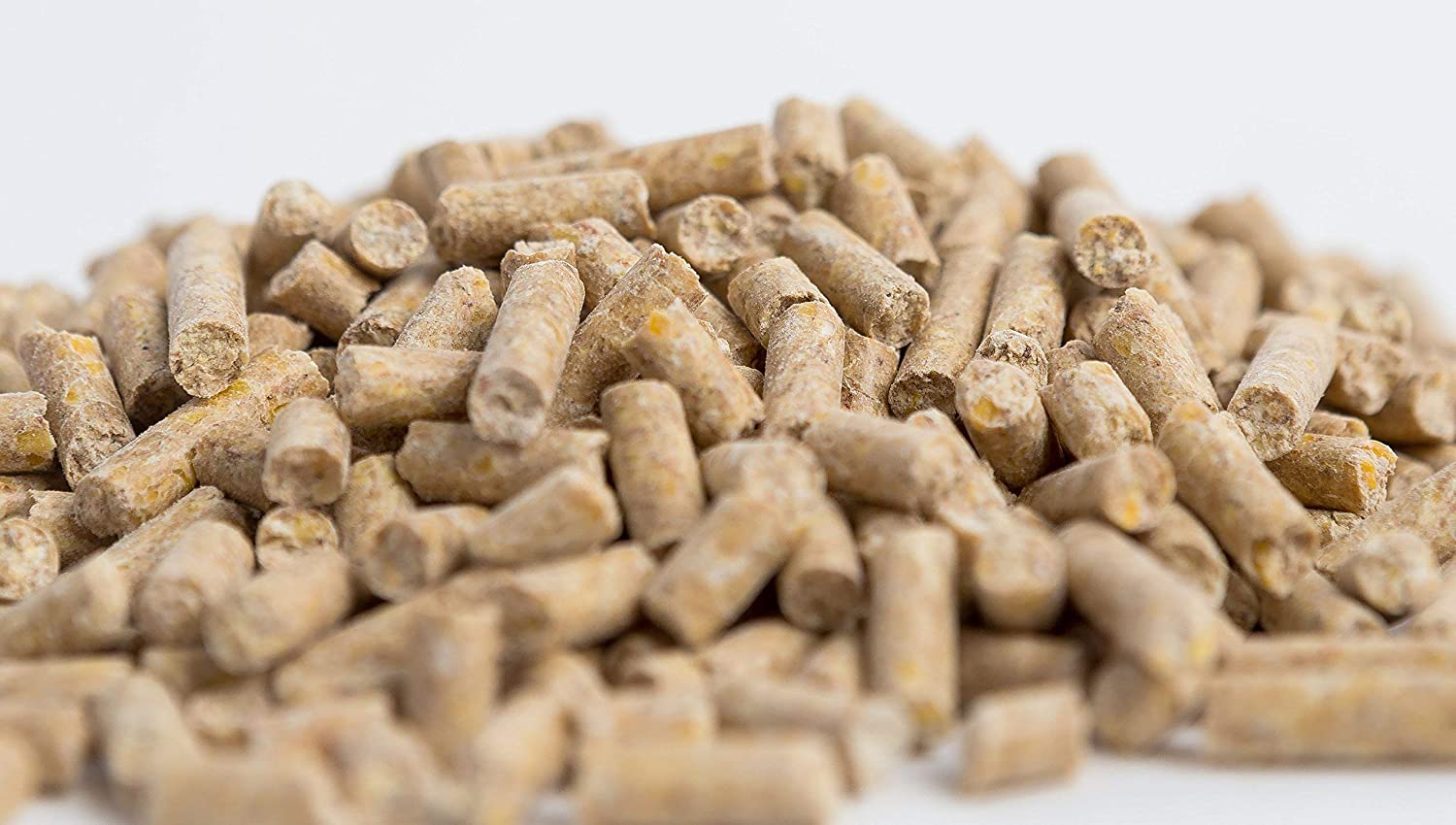 Horse Guard Equine Vitamin Mineral Supplement