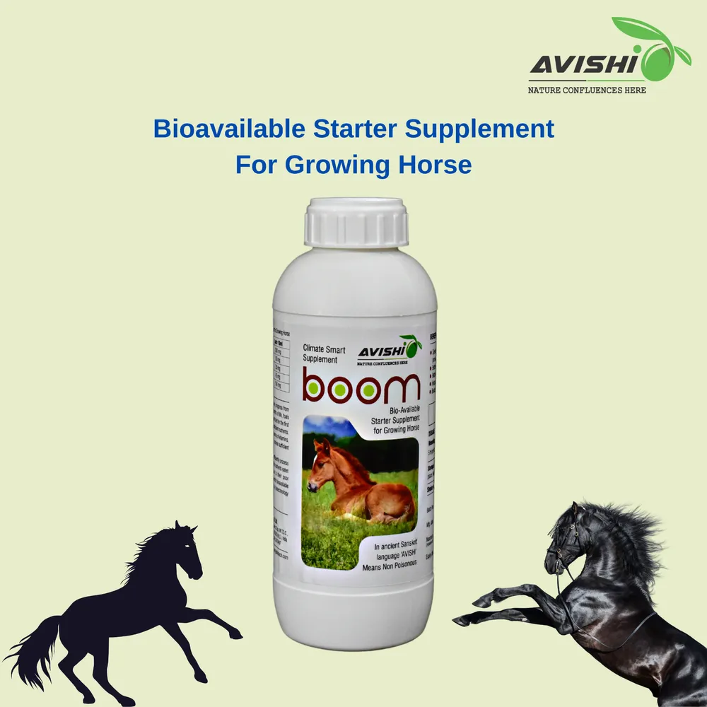 Avishi Boom Supplement for Growing Horses