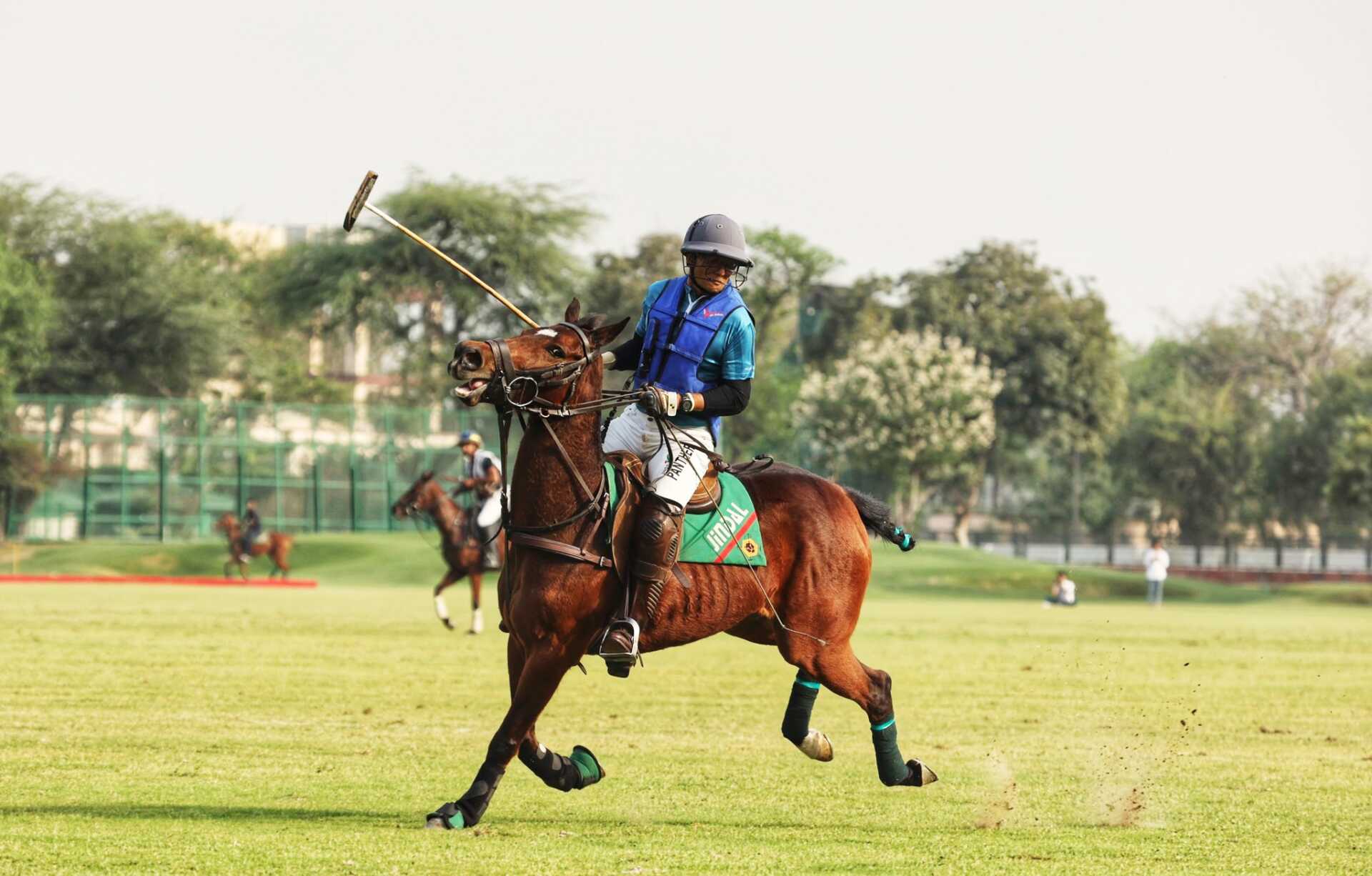 Exploring the Origins and Rich History of Polo: The Sport of Kings