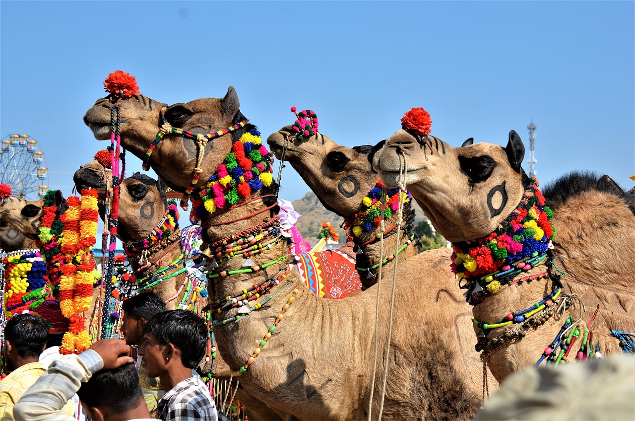पुष्कर मेला: राजस्थान के सांस्कृतिक वस्त्र के एक मोहक यात्रा