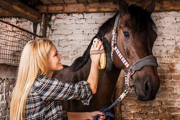 Horse Cleaning and Grooming Tips